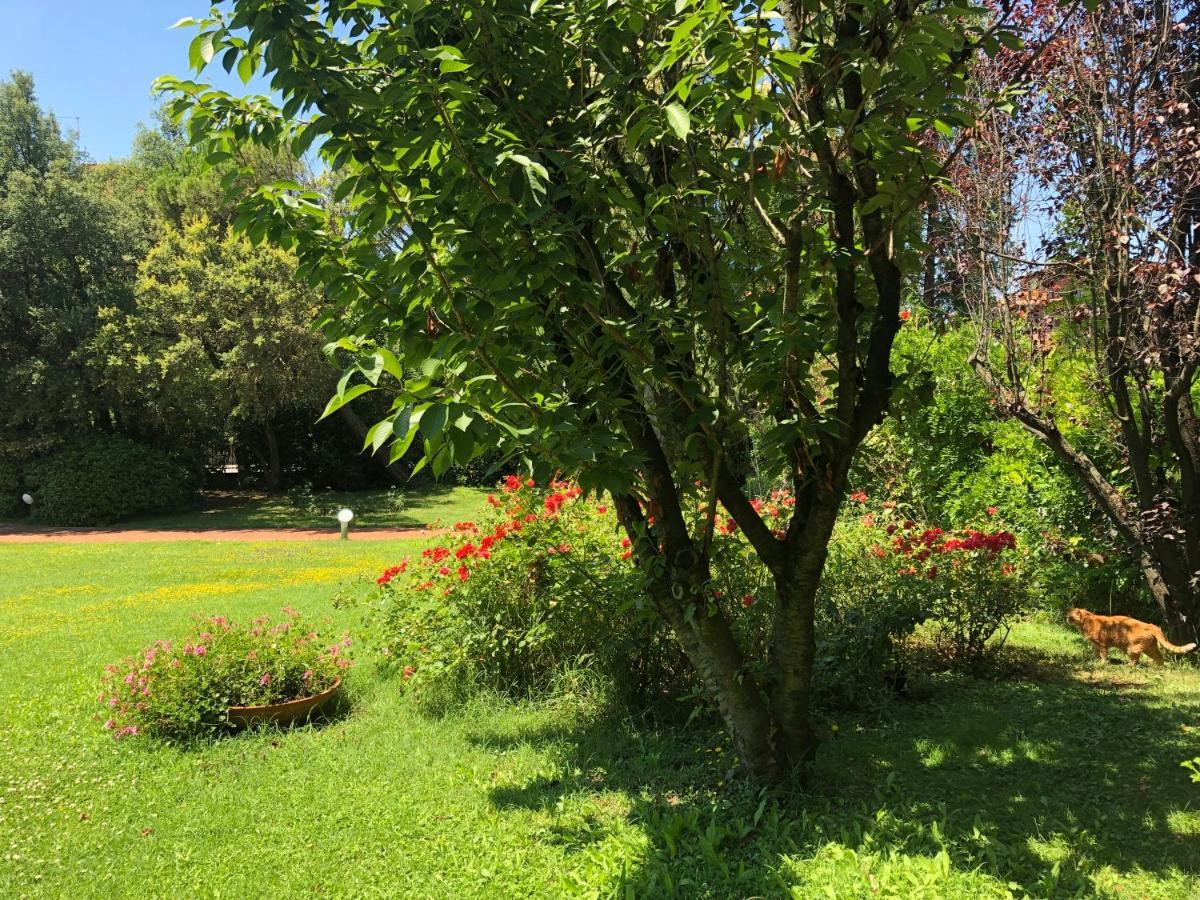 Opera Deluxe Bed & Breakfast Ravenna Luaran gambar